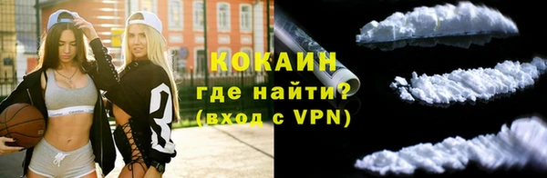 стафф Козельск