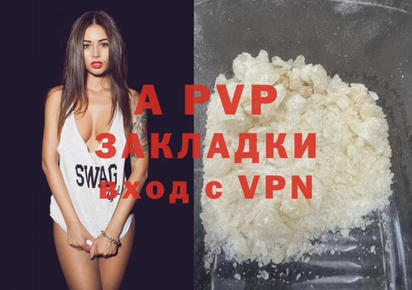 стафф Козельск